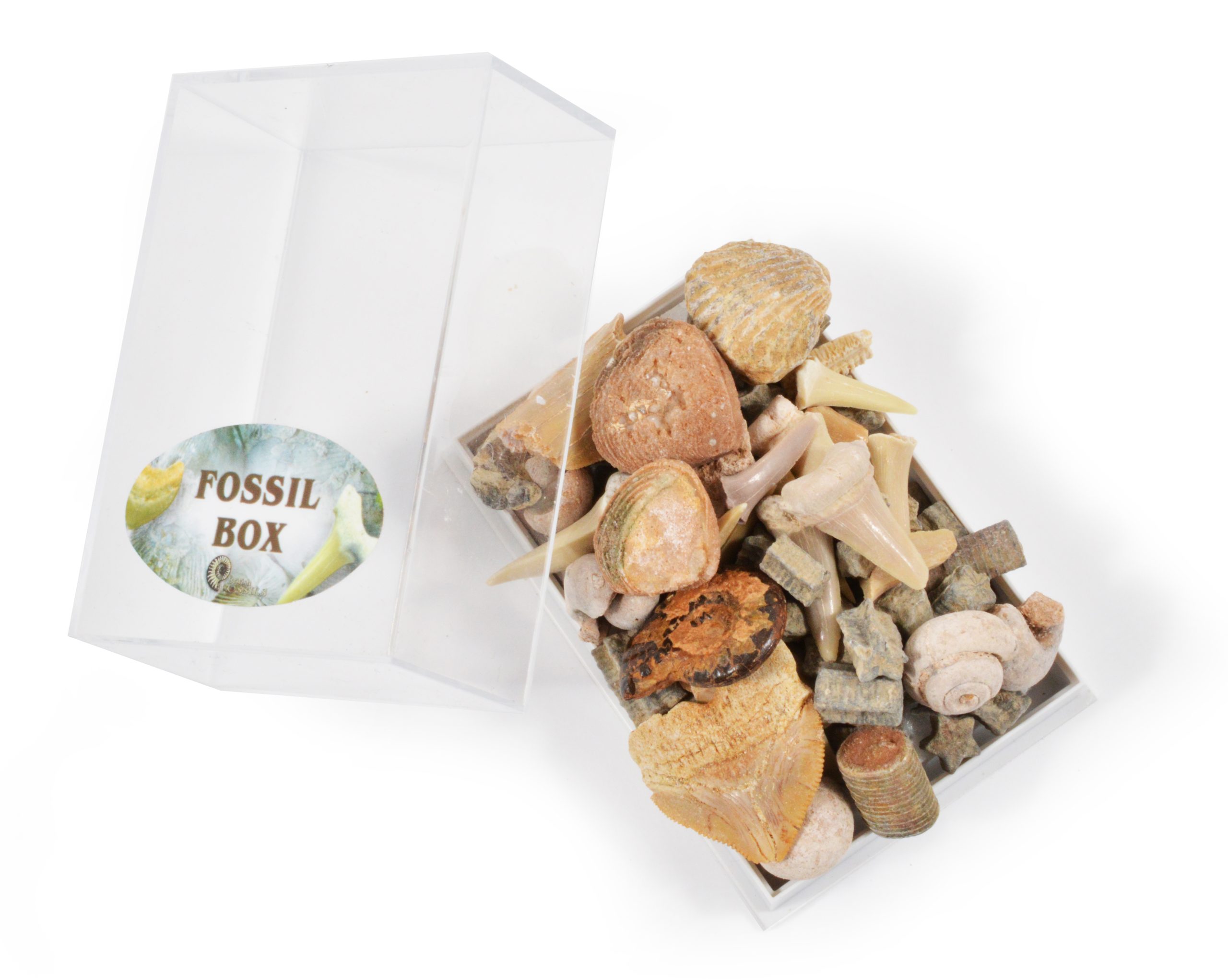 Mixed Fossils in a Box