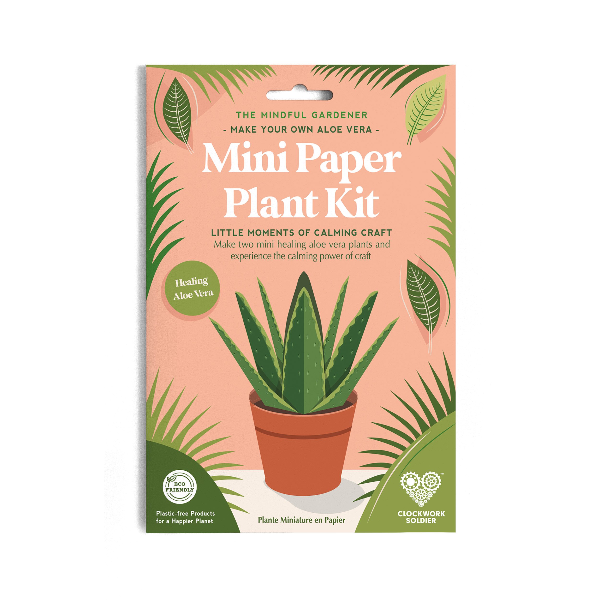Make Your own Succulent Plant